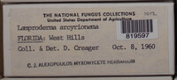Image Associated With the Occurence